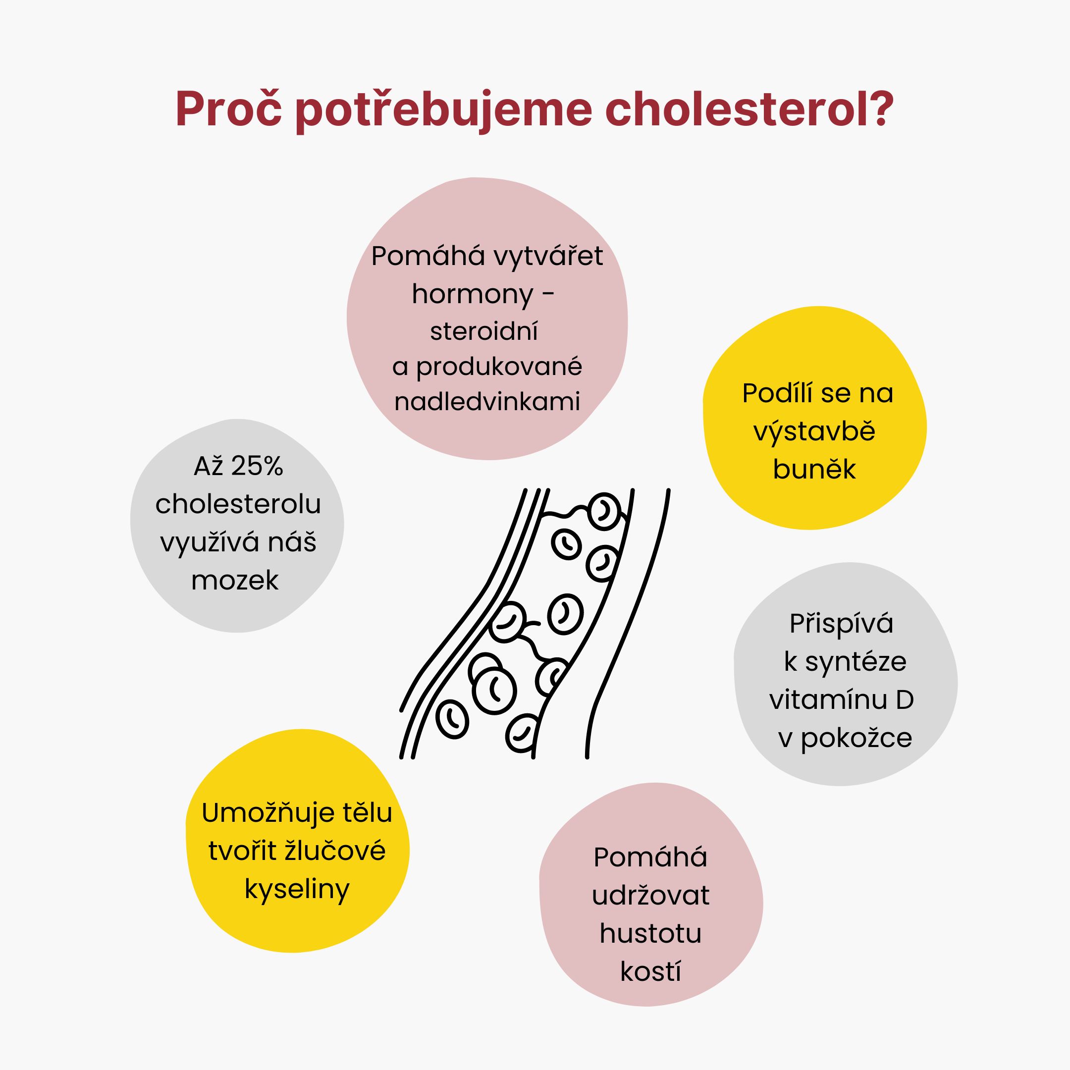 Proč potřebujeme cholesterol